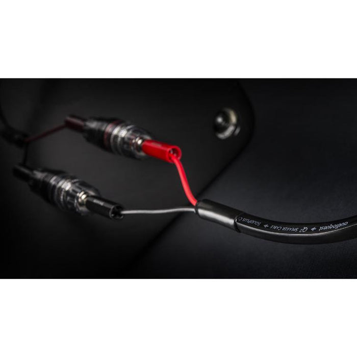 Audioquest Q2 | Speaker Cable - Long Grain Copper (LGC) inner conductor - 10 Ft-Sonxplus St-Sauveur