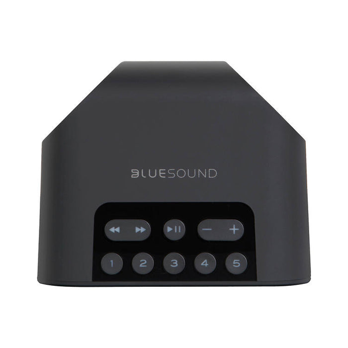 Bluesound PULSE FLEX 2i | Multi-Room Music Speaker - Wireless - Portable - Bluetooth - Black-Sonxplus St-Sauveur