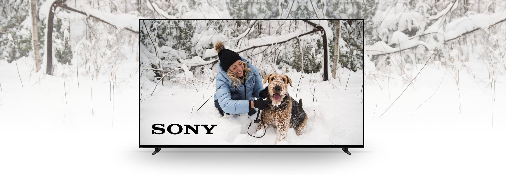 Sony | SONXPLUS St-Sauveur